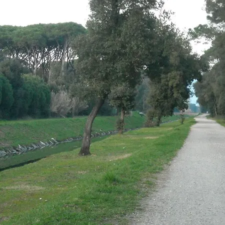 Villino Morena Torre del Lago Puccini Exterior photo