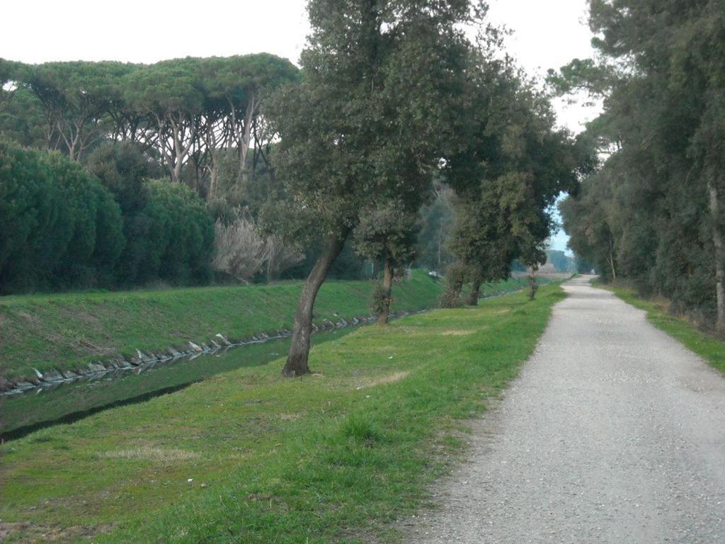 Villino Morena Hébergement de vacances Torre del Lago Puccini